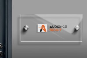 Audience Scout 1