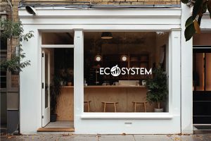 Ecosystem 8