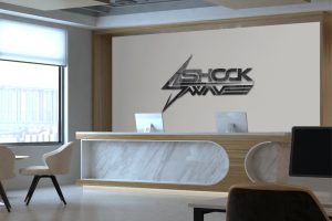 Shockwave 3